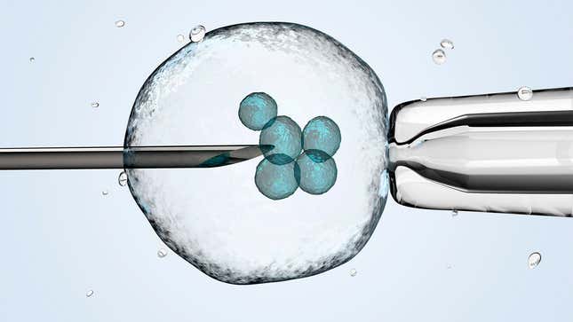 Image for article titled Quiz: How Much Do You Know About IVF?